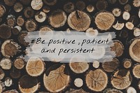 Positive Patient Persistent Optimistic Mindset
