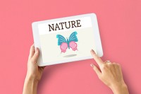 Nature Biology Insects Butterfly Illustration Concept