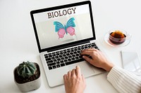 Nature Biology Insects Butterfly Illustration Concept