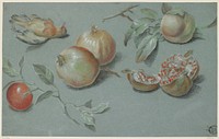 Pomegranates and Dead Bird. Original from the Minneapolis Institute of Art.