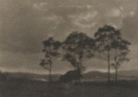 four trees silhouetted; mounted to board. Original from the Minneapolis Institute of Art.