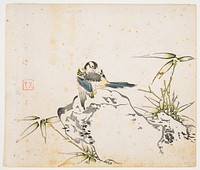 Bird on a rock-like object; bird has blue wing bars and blue tail, yellow breast; grassy foliage on either side of rock. Original from the Minneapolis Institute of Art.