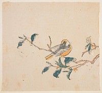 Bird on flowering branch; golden yellow crown, breast and tail; flowers of same yellow on branches. Original from the Minneapolis Institute of Art.