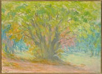 Colored pastel of bushy tree in clearing, surrounded by forest; small wood frame. Original from the Minneapolis Institute of Art.