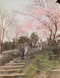 Photography album, images of Japan. Original from the Minneapolis Institute of Art.