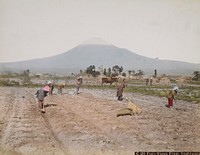 Photography album, images of Japan. Original from the Minneapolis Institute of Art.