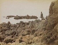 Photography album, images of Japan. Original from the Minneapolis Institute of Art.