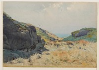 grey rocky formations; tan grasses in foreground; water visible in distance, center; three flying birds. Original from the Minneapolis Institute of Art.