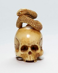 Skull with snake coiled on top; tail curving down back of skull; no lower jaw. Original from the Minneapolis Institute of Art.