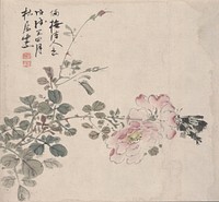 Horizontally oriented painting of two blossoming pink roses; foliage begins LLC, extends upward with a bud near top center, and horizontally towards LR with the two blossoming roses; black and blue butterfly at top rose; three lines of calligraphy at ULC with two part rectangular seal with rounded edges. Original from the Minneapolis Institute of Art.