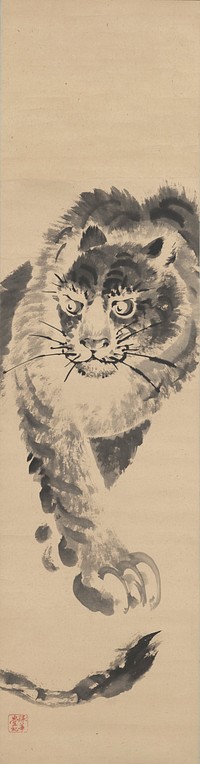 Close-up image of a tiger's face, chest and PR front leg; tiger appears to be approaching viewer, looking towards LL; portion of tail coming to view at bottom. Original from the Minneapolis Institute of Art.