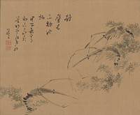 two grey shrimp at R within green tinted seaweed; single grey shrimp within green tinted seaweed at LL; inscription ULQ. Original from the Minneapolis Institute of Art.