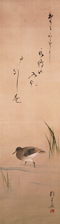 brown and white bird wading through shallow water indicated by a few light blue strokes; thin wispy reeds behind tall at R, and at LL; inscription near top. Original from the Minneapolis Institute of Art.