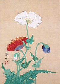 Four poppies in different stages: white poppy in full bloom; orange-red at L facing away; bent, blue opening bud at LR; smaller, closed, white bud LL. Original from the Minneapolis Institute of Art.