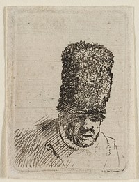 Rembrandt van Rijn's bust of a male figure, leaning slightly forward, with a large nose and heavily shaded brow; tall, furry hat; light shading on shoulder. Original from the Minneapolis Institute of Art.