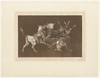 four bulls depicted in different positions, and overlapping; from L to R, from the back, seated, from the side and from the top; solid black background. Original from the Minneapolis Institute of Art.