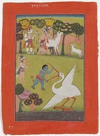 figure with short black hair and blue skin at center, wearing red striped loincloth, anklets, bracelets and armlets, and necklaces, holding open the bead of a white crane with its tongue sticking out and blood dripping from its beak; another standing figure wearing maroon striped loincloth and holding a red staff at left center; fanciful trees in LLC and at top; three figures with two oxen and a calf at top; red border; white Ararbic inscription at top center. Original from the Minneapolis Institute of Art.