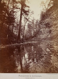 Reflections in Cathedral, Watkins Glen, New York. Original from the Minneapolis Institute of Art.