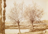 Untitled [landscape]. Original from the Minneapolis Institute of Art.