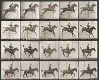 Jumping a hurdle, saddle, clearing, landing, and recovering, bay horse. From a portfolio of 83 collotypes, 1887, by Edweard Muybridge; part of 781 plates published under the auspices of the University of Pennsylvania. Original from the Minneapolis Institute of Art.