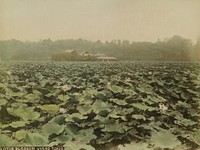 Transferred from Record Book in 1982; from tortoise shell album with 30 albumen prints. Original from the Minneapolis Institute of Art.