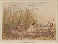 Gathering Wild Rice. Original from the Minneapolis Institute of Art.