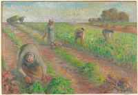 The Beet Harvest (1881) by Camille Pissarro. Original from the Minneapolis Institute of Art.