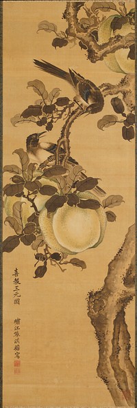 Partially hidden, twisting fragment of a tree dominates the composition which contains a pair of magpies and three large fruits hanging from the branches. Original from the Minneapolis Institute of Art.