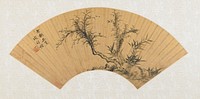 fan mounted as an album leaf; prunus and small palm tree growing out of LRC with small rock and undergrowth. Original from the Minneapolis Institute of Art.