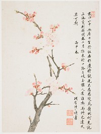 Pink blossoms and small flowers on a grey branch; inscription and 3 seals at right. Original from the Minneapolis Institute of Art.