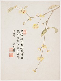 Small yellow flowers and buds, with pink centers, on a long, delicate branch; inscription and 3 seals at left. Original from the Minneapolis Institute of Art.