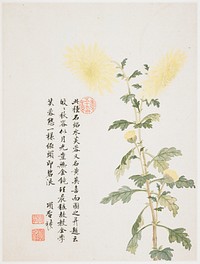 2 yellow mum flowers on top of a long, slender stem; 2 partially open buds below; inscription and 3 seals at left. Original from the Minneapolis Institute of Art.
