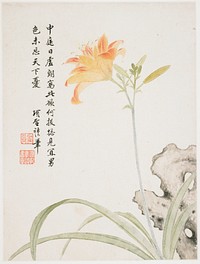 Large orange and pink flower on top of a blueish stem, with 4 buds; rock behind flower in LRC; inscription and 2 seals at left. Original from the Minneapolis Institute of Art.