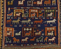 Horse Trapping. Coarse blue wool ground with six bands representing men and animals. Border of chevron design in yellow and brown. Long blue knotted fringe at the end. Wool. Woven fabric.. Original from the Minneapolis Institute of Art.