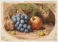 Still Life with Grapes and a Pomegranate. Original from the Minneapolis Institute of Art.