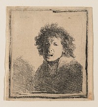 Rembrandt van Rijn's Self-Portrait as if Shouting. Original from the Minneapolis Institute of Art.