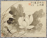 Close-up view of a lotus flower and leaves; brushed in the boneless ink-wash style. Original from the Minneapolis Institute of Art.