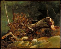 plant-covered boulders in foreground, a large branch or tree has broken off and lays atop the boulders with brown dying leaves toward left background; lush dense forest spotted by birch trees at background.. Original from the Minneapolis Institute of Art.