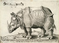 Rhinoceros. Original from the Minneapolis Institute of Art.