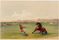 Catching the Wild Horse. Original from the Minneapolis Institute of Art.