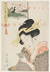 Prostitute looking into a mirror, juxtaposed to a peacock and cherry blossoms. Original from the Minneapolis Institute of Art.