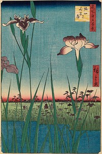 Horikiri Iris Garden. Original from the Minneapolis Institute of Art.