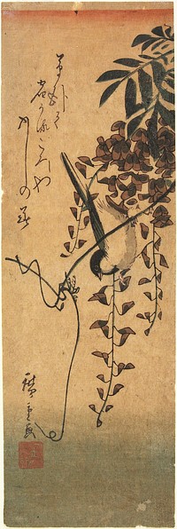 Bird on Wisteria Vine. Original from the Minneapolis Institute of Art.