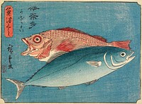 Yellowtail and Rockfish. Original from the Minneapolis Institute of Art.