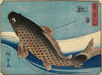 Carp. Original from the Minneapolis Institute of Art.