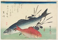 Sea Bass and Splendid Alfonsino. Original from the Minneapolis Institute of Art.