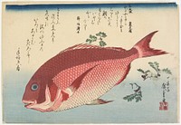 Sea Bream and Sansho Pepper. Original from the Minneapolis Institute of Art.