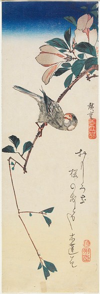 Finch on Magnolia Branch. Original from the Minneapolis Institute of Art.