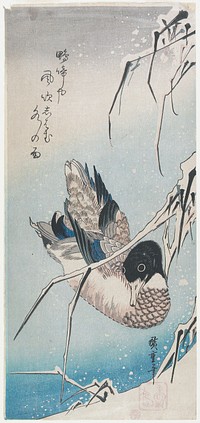Mallard Duck and Snow-covered Reeds. Original from the Minneapolis Institute of Art.
