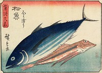 Bonito and Gurnard. Original from the Minneapolis Institute of Art.